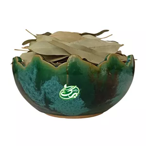 برگ اکالیپتوس