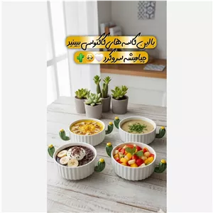 کاسه کاکتوس وارداتی