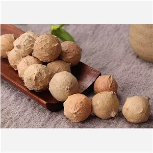 میوه مازو با کیفیت عالی