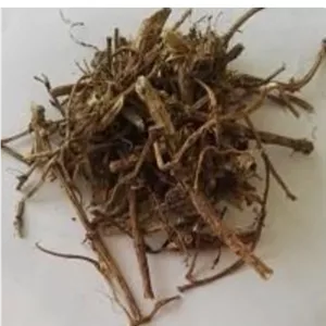 ریشه ی گزنه  با کیفیت عالی