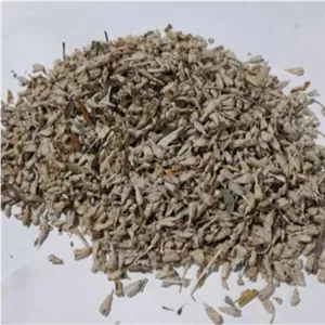 گل سنجد با کیفیت عالی