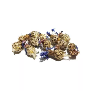 گل گندم با کیفیت عالی