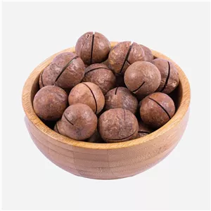 فندق ماکادمیا ممتاز