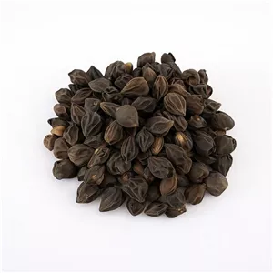 سپستان سه پستان ( میوه خشک )