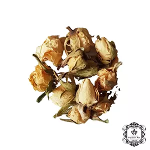 غنچه خشک کلاسیک نباتی
