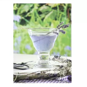 بستنی خوری لاو مدل ORN319F بسته 6 عددی TNH