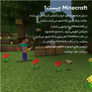 بازی Minecraft Starter Collection مخصوص PS4 VST