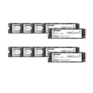 اس اس دی اینترنال پتریوت مدل P300 ظرفیت 256 گیگابایت
