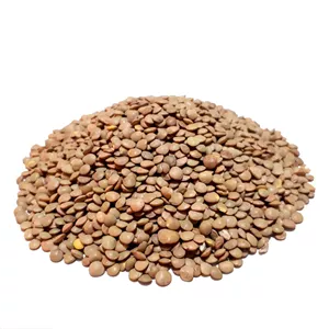 عدس ریز - 5 کیلوگرم RZT