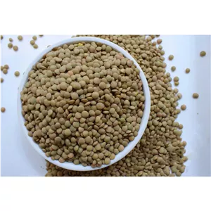 عدس ریز درجه 1 - 1000 گرم WZR