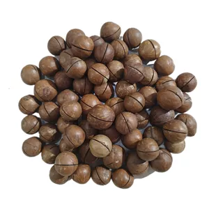 فندق ماکادمیا - 1200 گرم بسته 2 عددی
