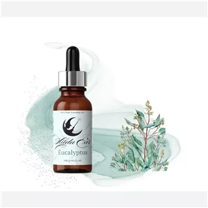 اسانس طبیعی اکالیپتوس اسنشیال اویل  Eucalyptus