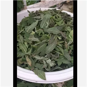 پونه خشک ارگانیک