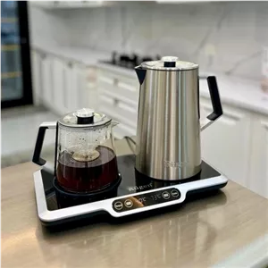 چای ساز کنار همی روگن مدل 1525-Ru