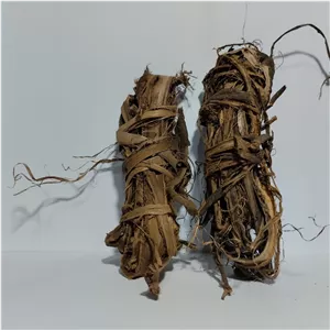 بسته 2 عددی اصل مسواک گیاهی درختی اصل  