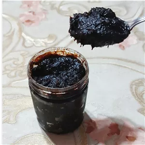 رب آلوچه محلی و خانگی غلیظ گیلان -بسته 500 گرمی
