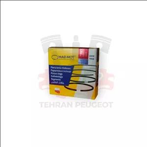 رینگ موتور تیبا استاندارد مارموت