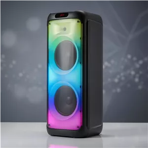 بلندگوی چمدانی هوکو HOCO مدل HS10010 100W 