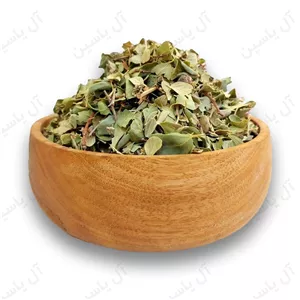 برگ سدر 