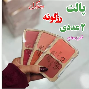 پالت رژگونه دو عددی پودری دودوگرل (رنگبندی زیبا پیگمنت بالا) آرایشی شین بیوتی