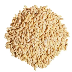 جو پوست کنده ممتاز گالیور ـ 500 گرم AX4