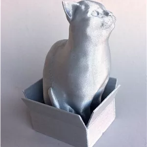 تندیس گربه نشسته در جعبه