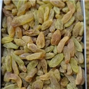 عالی اصل کشمش سبز قلمی لوکس ر نرم تازه(یک کیلو) بدون هسته امسالی
