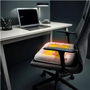 کوسن و بالشت صندلی گرمکن دار گرین لاین Electric Heat Pad Heating Seat Cushion 