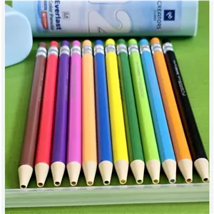 مدادرنگی اتودی سی کلاس 12 رنگ 