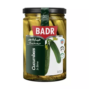 خیارشور درجه یک 620 گرم بدر - 6260113801107