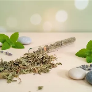 خرید بادرنجبویه + خواص و طریقه مصرف