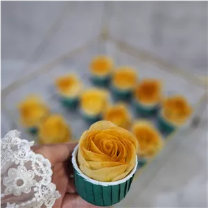 کاپکیک باقلوا، باقلوا گل رز،خواستگاری 