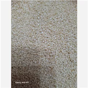 کنجد سفید اعلا سورت شده 1000 گرم (ارسال رایگان)