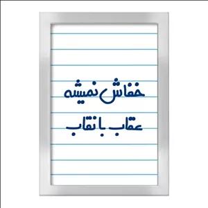 تابلو خندالو طرح خفاش نمیشه عقاب با نقاب  کد 6607 فریم نقره ای