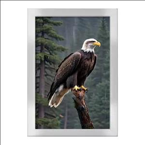 تابلو خندالو طرح عقاب کد F4826 فریم نقره ای