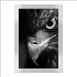 تابلو خندالو طرح عقاب کد F8565 فریم نقره ای