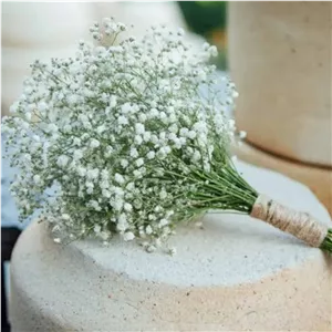 گل عروس طبیعی اضافه برای گل روبانی ( فروش جدا نداریم بدون هماهنگی سفارش ندید) 