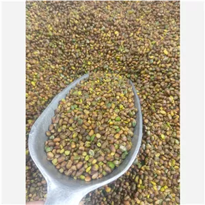 مغز پسته کوهی بنه اصل تازه خوش عطر نیم کیلویی