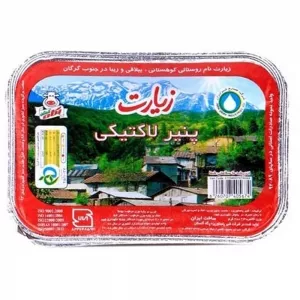 پنیر لاکتیکی زیارت پگاه 300گرمی 6260342001873