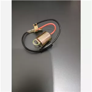 فیوز دلکو پیکان MWH اصلی انگلیسی