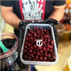 ترشی آلبالو