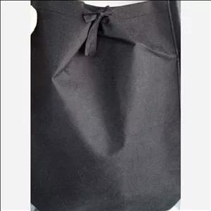 جا فلاکس خودرو اسپان