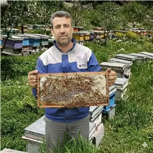 عسل بکر هیرکان