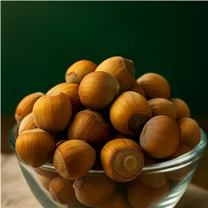 فندق تاز از باغ دار