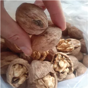 گردو تقریبا کاغذی سایز متوسط به ریز یک کیلو با پوست که اکثرا مغز سفید سوپر اعلا طبیعی ارگانیک 