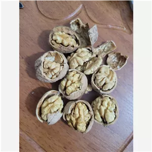 گردو با پوست درجه تویسرکان