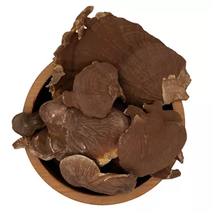 قارچ گانودرما