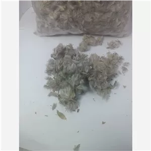 چای کوهی 100 گرم
