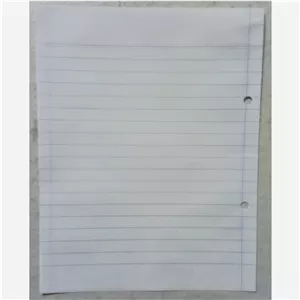 صدبرگ کاغذ کلاسور 2سوراخ قدیمی (16x21Cm)
