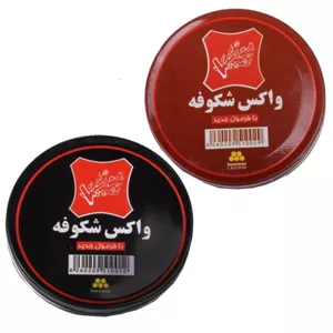 واکس کفش شکوفه مدل 052053 بسته 2 عددی RJ2